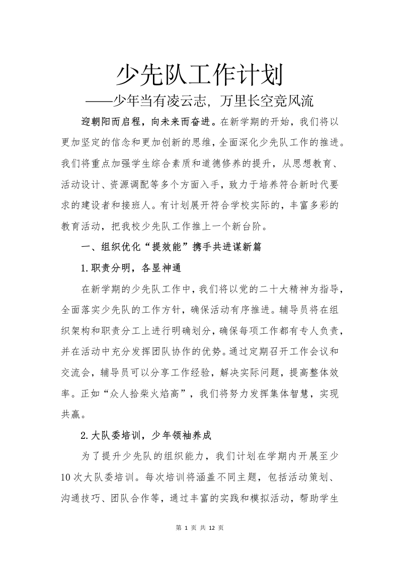 2024-2025年少先队计划(1)